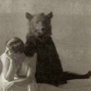 Meet your Posher, Molly